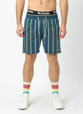 Amphibious 17" Swim Short Navy Stripe