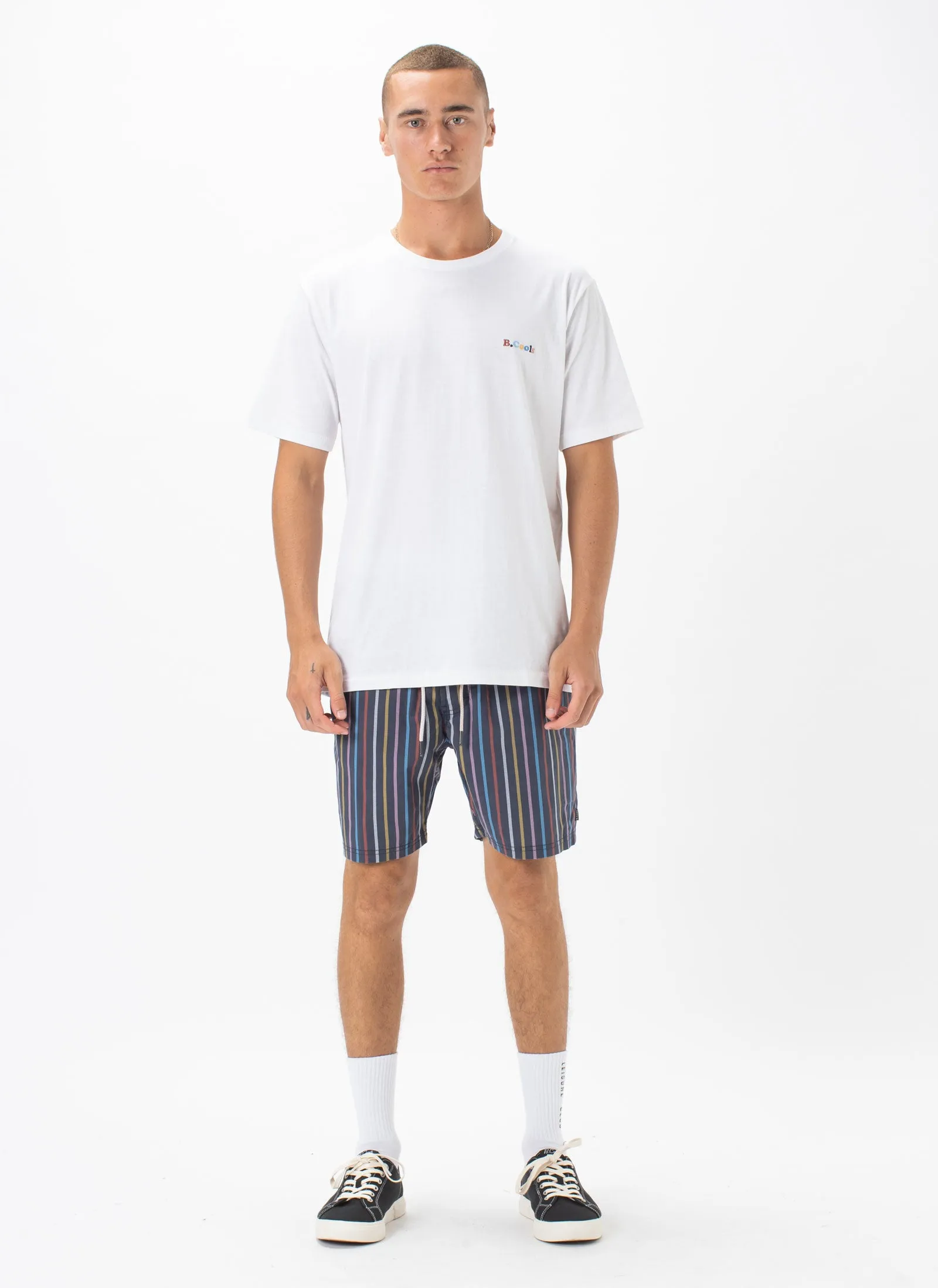 Amphibious Swim Short Slate Stripe