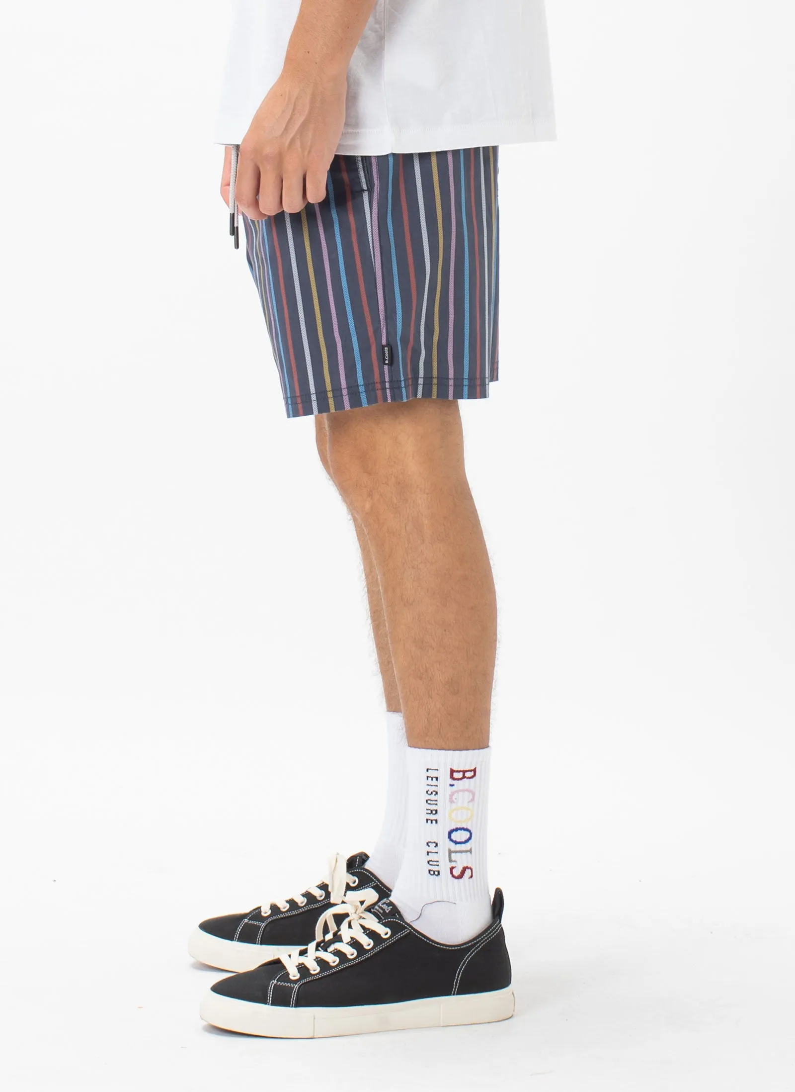 Amphibious Swim Short Slate Stripe