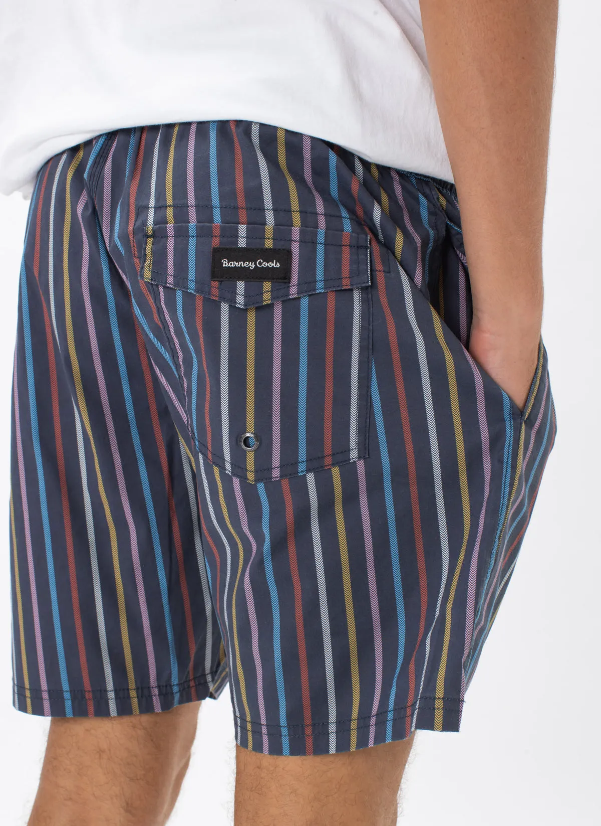 Amphibious Swim Short Slate Stripe