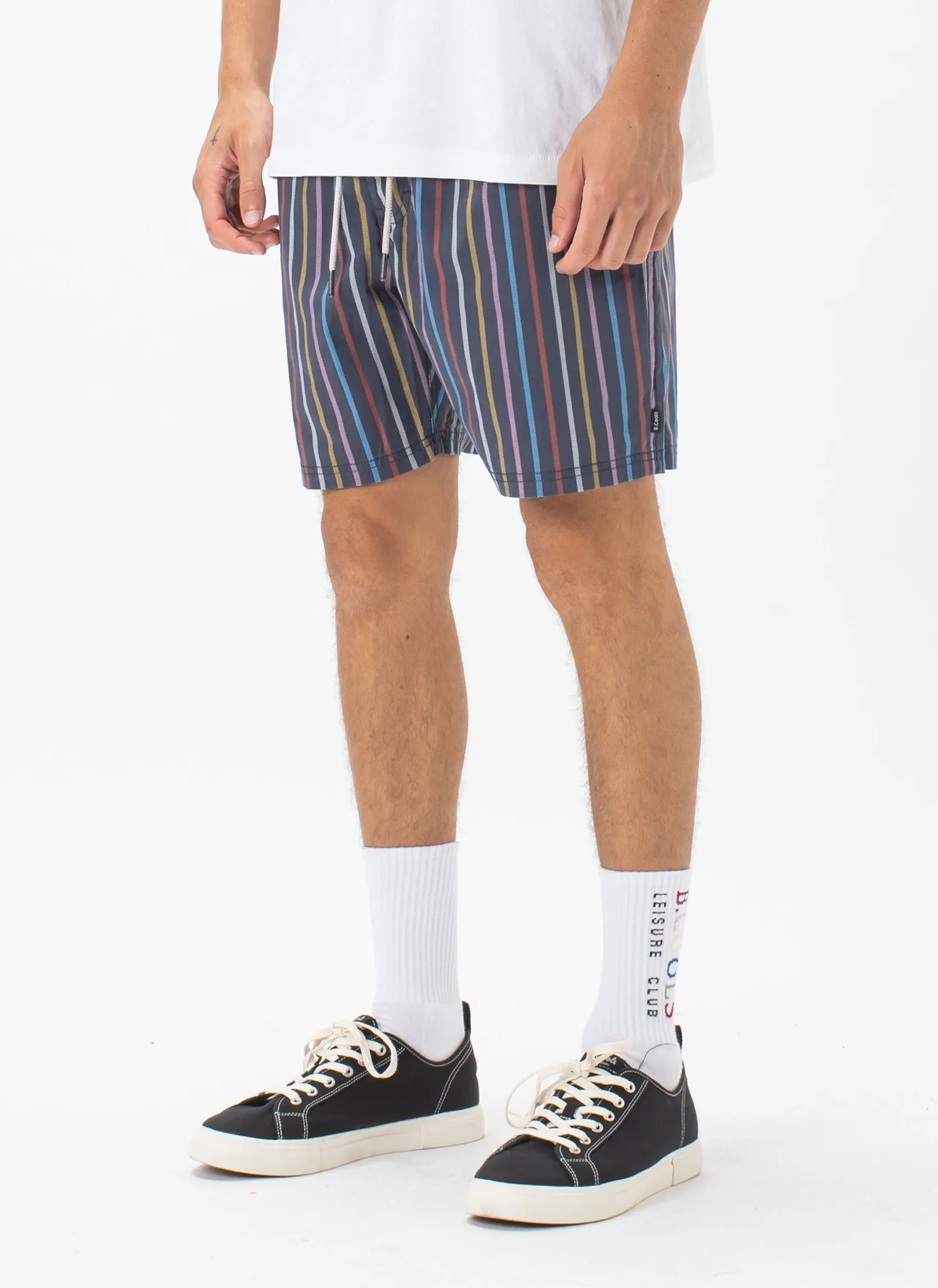 Amphibious Swim Short Slate Stripe