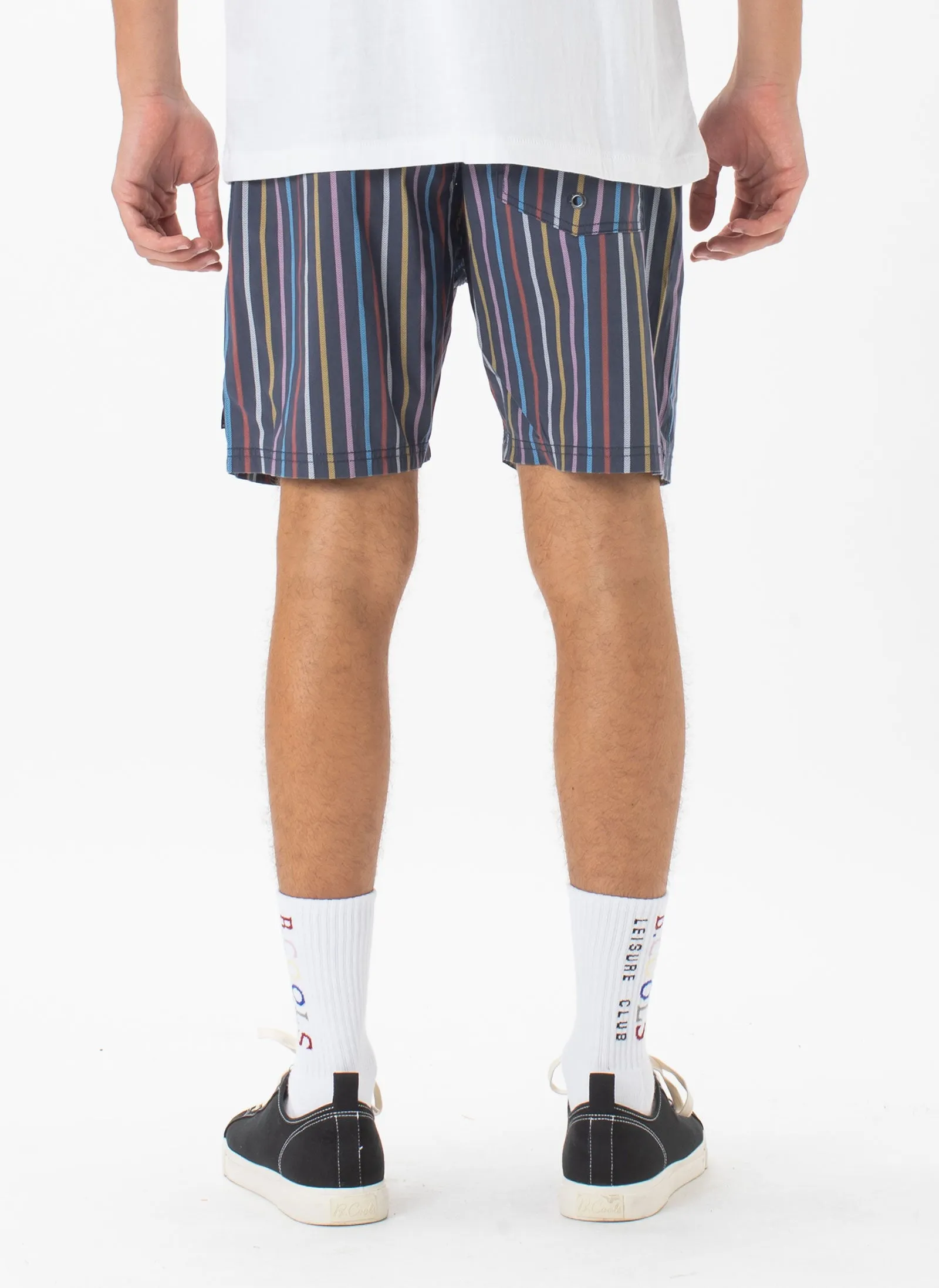 Amphibious Swim Short Slate Stripe