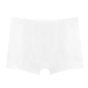 Boys Separate Quick-Dry Swim Liner for Under Boys Trunks  | White